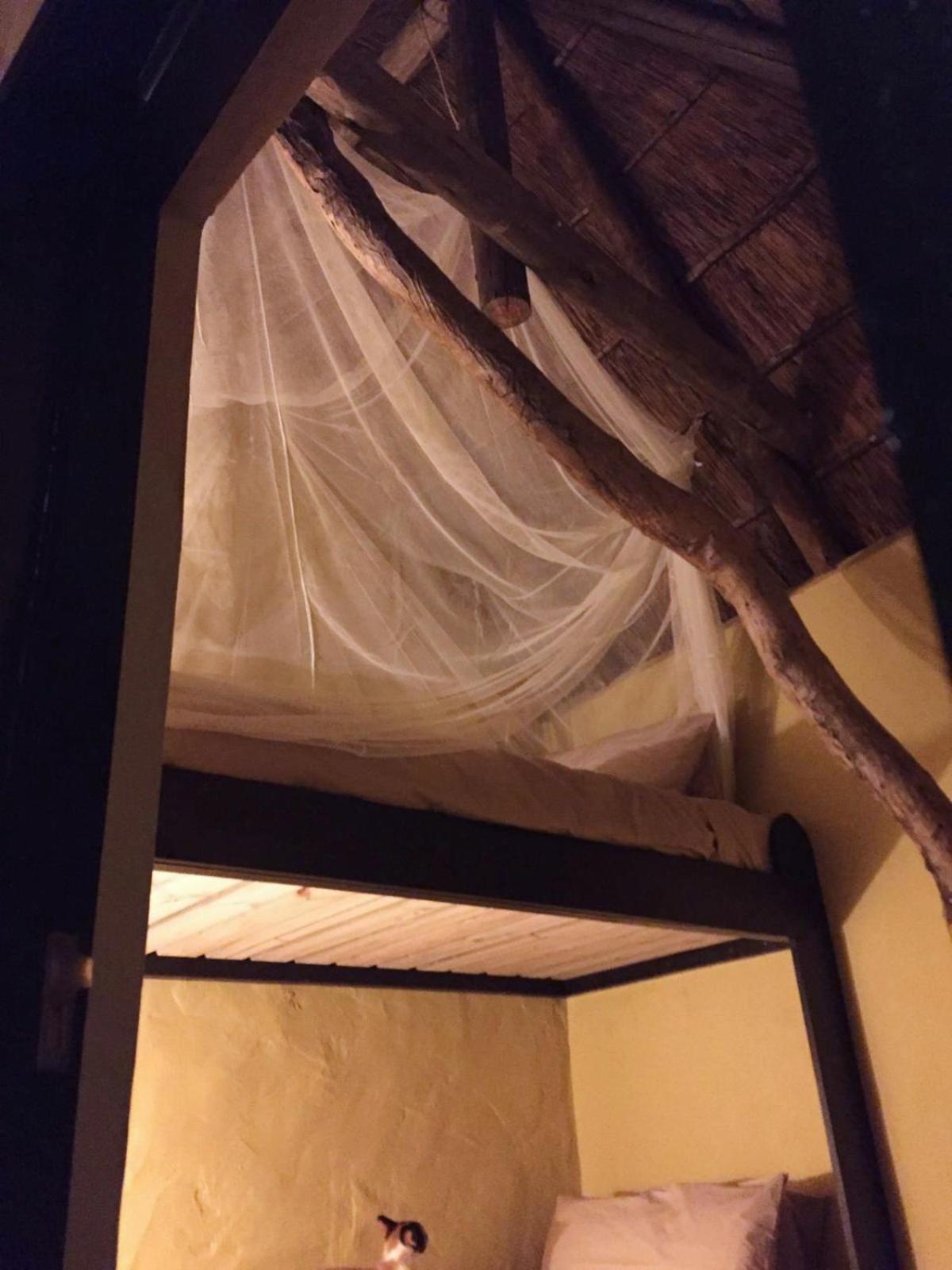 Addo African Home חדר תמונה