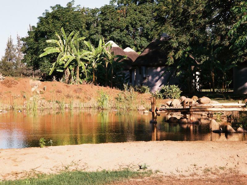 Addo African Home מראה חיצוני תמונה